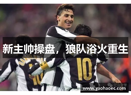 新主帅操盘，狼队浴火重生